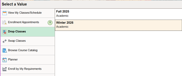 choose term between options
