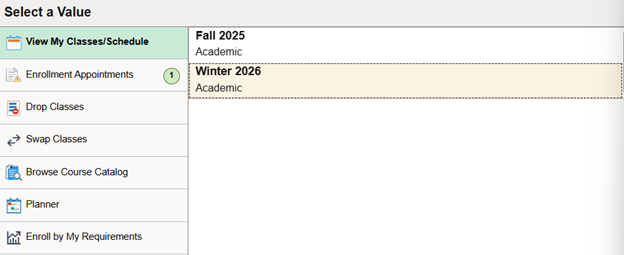 term options in the view my classes/schedule section