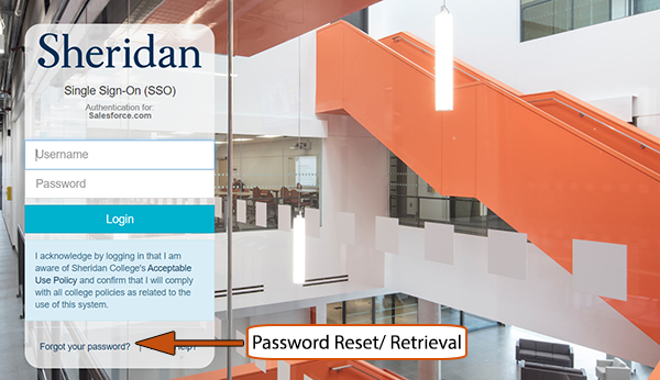 Sheridan Application Portal - Login troubleshooting