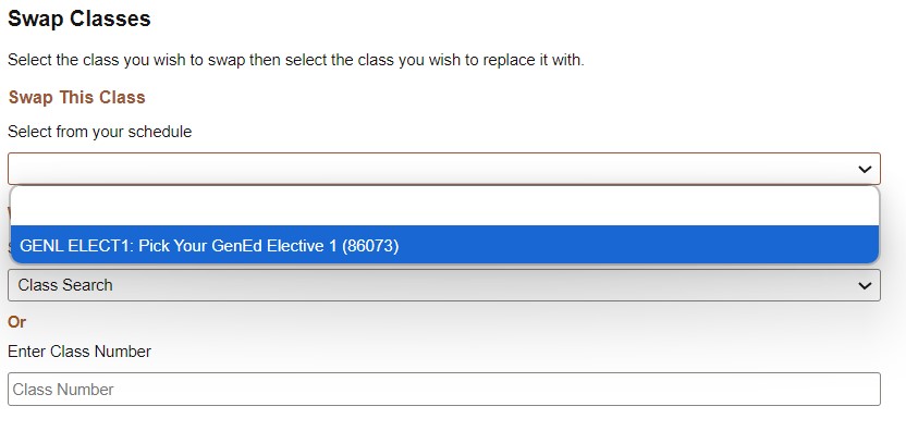 select elective placeholder